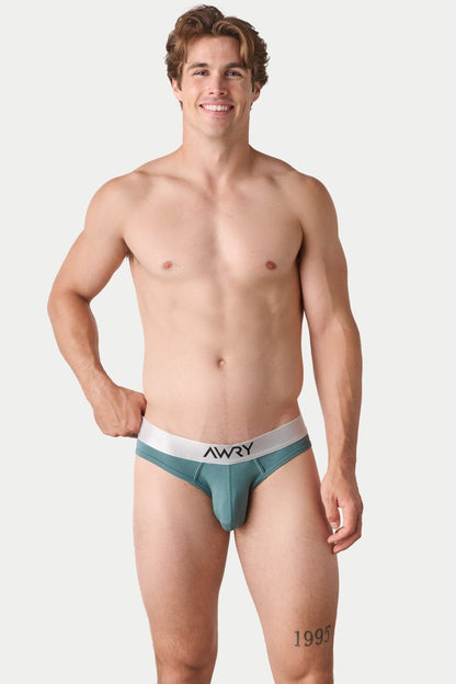 Awry Pocket Brief V2